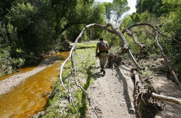 Cienega Creek, other S. AZ. streams, increasingly dry